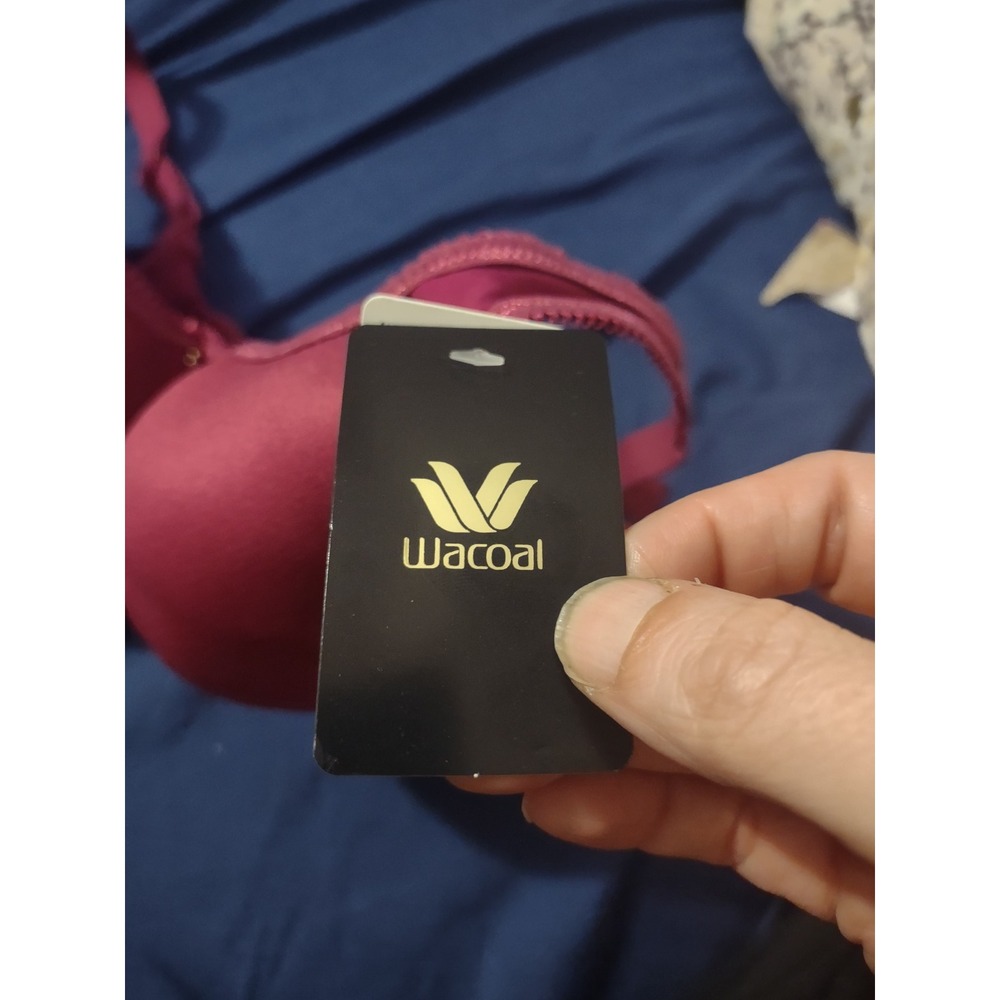 Wacoal Basic Beauty Underwire Bra 38C Raspberry Pink 853192 New - Picture 2 of 6